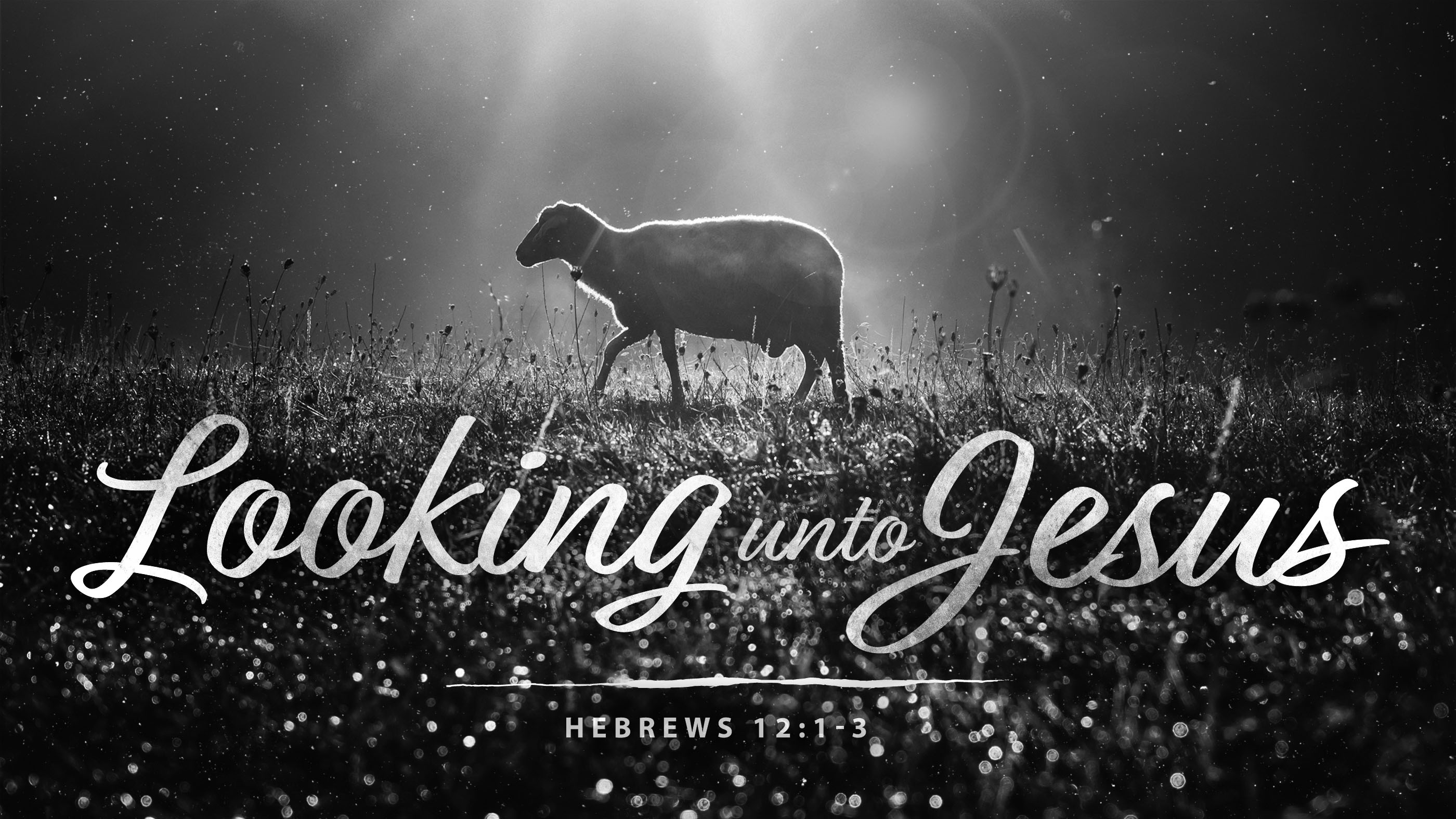 Looking Unto Jesus
